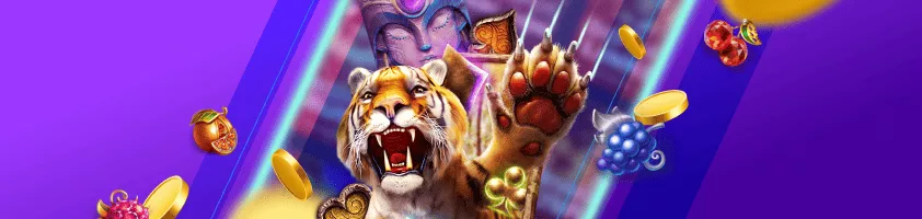 Features of FS in Bangladesh Online Casinos